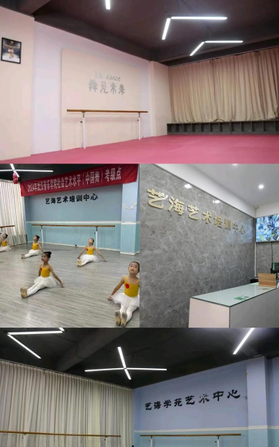 海南海之夏艺术培训有限公司阅读区