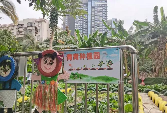 深圳市南山区小白兔幼儿园阅读区