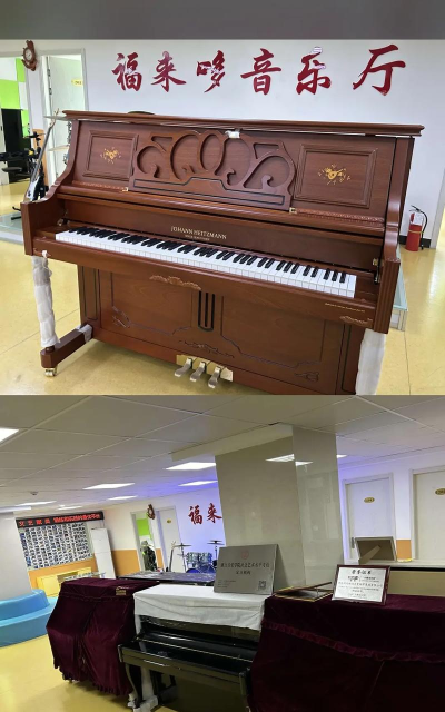 舟山市福来哆乐器培训有限公司