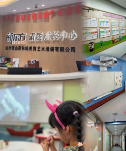 成都市锦江区新东方行远艺术培训学校有限公司