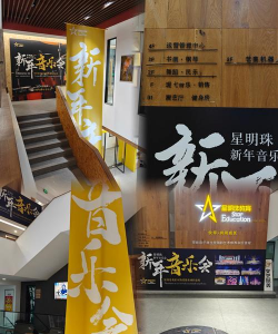 佛山市禅城区星明珠艺术培训中心有限公司