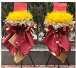 凌源市宋杖子九年一贯制学校阅读区