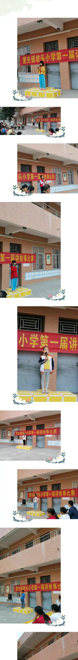 茂名市电白区望夫镇坡头小学