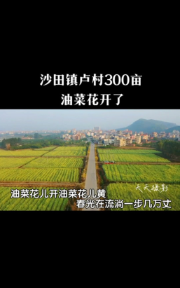 沙田卢村小学阅读区