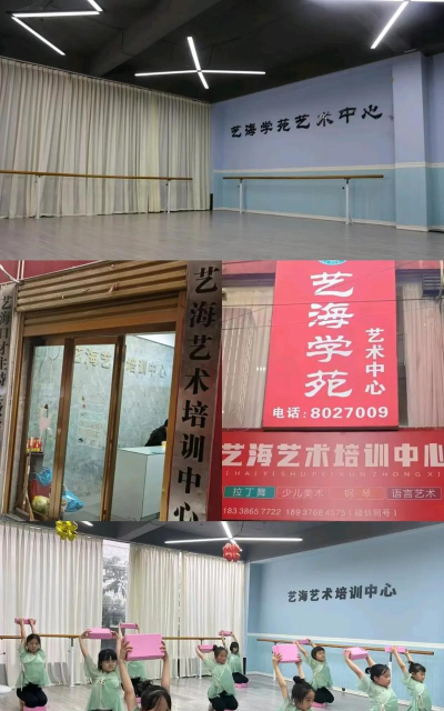 琼海市乐艺艺术培训中心有限公司