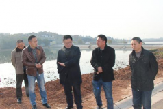 涪城区石洞乡初级中学