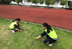 浪川乡中心小学