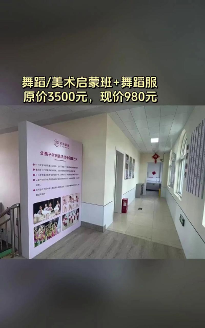 葫芦岛市连山区蓓蕾艺术辅导有限公司