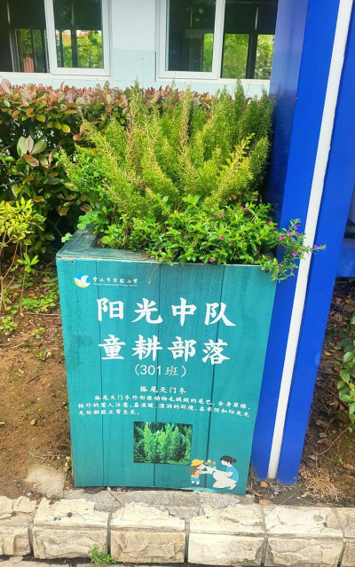宁波市江东区实验小学