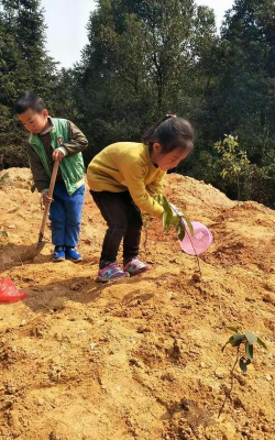 三台县金石镇中心幼儿园阅读区