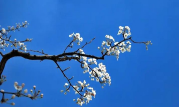 三台县金石镇同德瓦窑村幼儿园阅读区