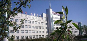 安达市高级中学阅读区