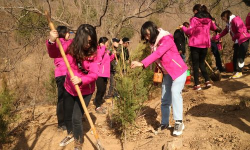 无棣县马山子镇高井幼儿园阅读区