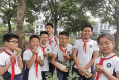 上虞市华维文澜小学