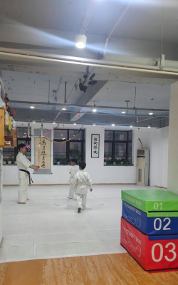 隆回县雏鹰武术培训学校有限公司