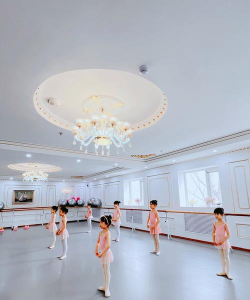 东莞市莞城吕芭蕾艺术培训中心有限公司