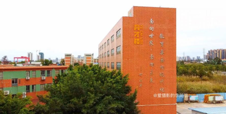 洲心街连石小学阅读区