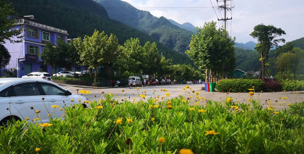 涪陵区大木乡中心校