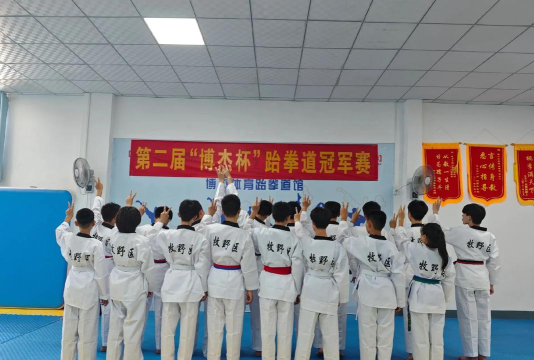 常德市德山鸿伟跆拳道培训学校有限公司