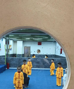 深圳市龙华区梅山武术教育培训中心有限公司