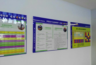 佛山市南海区坊胜体育培训有限公司