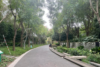 东莞市谢岗南园幼儿园