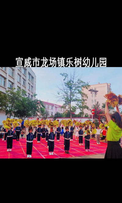 隆昌县龙市镇大中幼儿园
