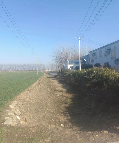 平阴县夏沟小学