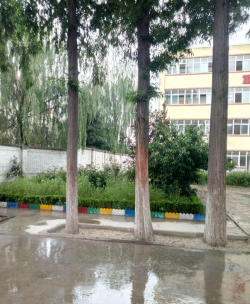 凤翔县陈村镇第一中学阅读区