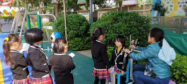 开远市第二幼儿园阅读区