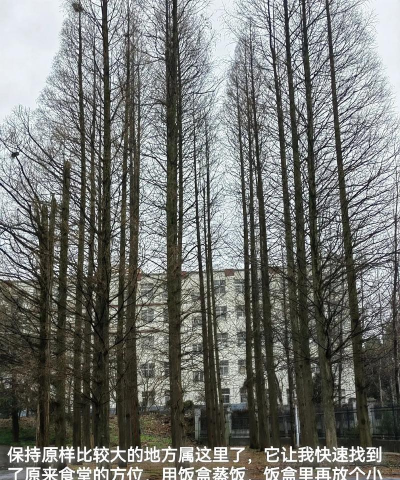 矾山镇第一初级中学