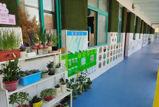 车江小天使艺术幼儿园阅读区