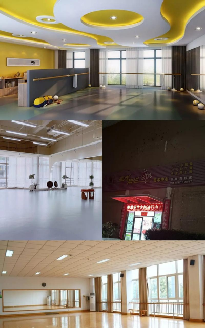 佛山市禅城区星光灿烂艺术培训有限公司