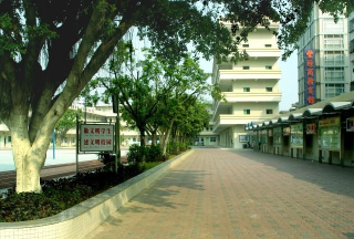 东莞市常平镇中心小学