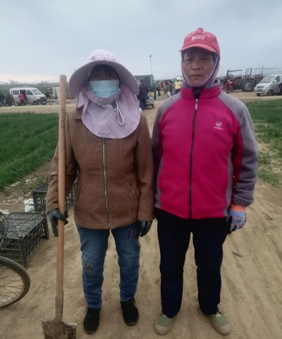 宁阳县泗店镇沙庄中心小学