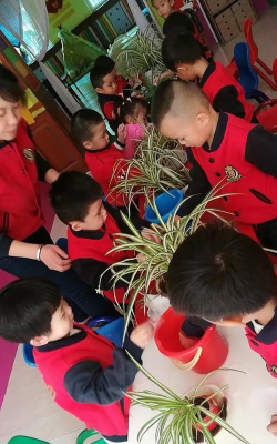 孝昌县冬冬幼儿园