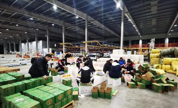 佛山市顺德区北滘镇鲜橙科技培训有限公司