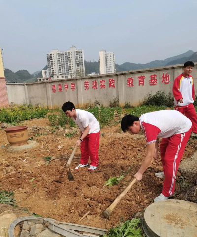 芜湖县陶辛镇初级中学