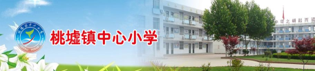 蒙阴县桃墟镇中心小学
