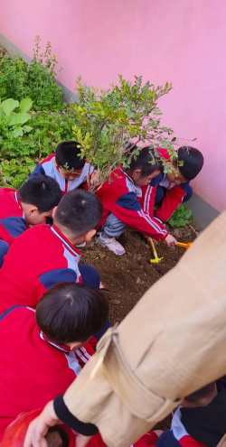 新泰市放城镇南涝坡幼儿园