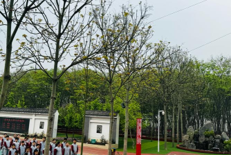 成都市锦江区粮丰小学阅读区