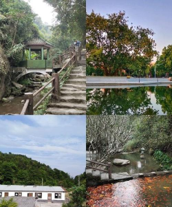 新兴县六祖镇龙山塘教学点