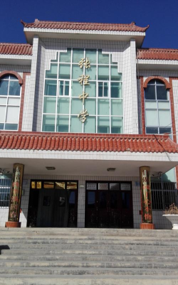 界首市顾集镇大程中学