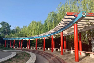 石嘴山市第八小学