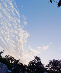 济南市历下区飞翼培训学校有限公司