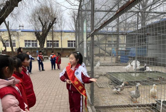牟平区海德小学