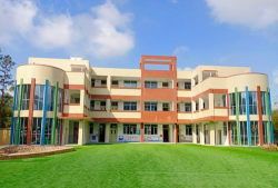 新田镇大岭小学附设幼儿园