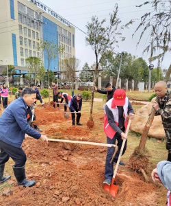 太平镇菱角村小