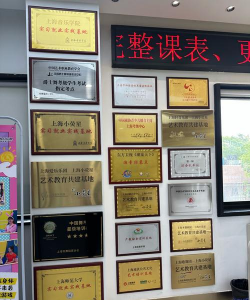 青岛市城阳区拾悦艺佳艺术培训学校有限公司