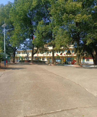 安居区白马镇青峰村小